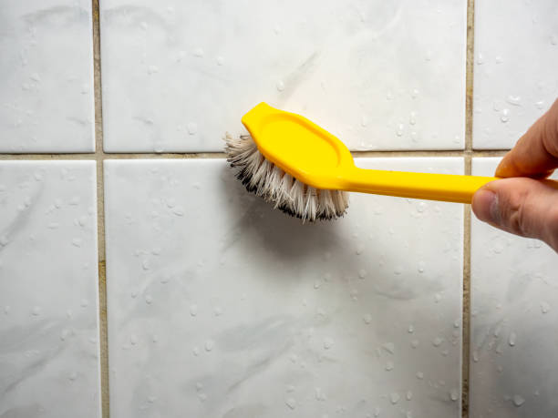 Best Home Mold Removal  in Croswell, MI